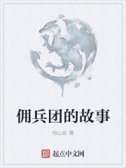 佣兵团的故事
